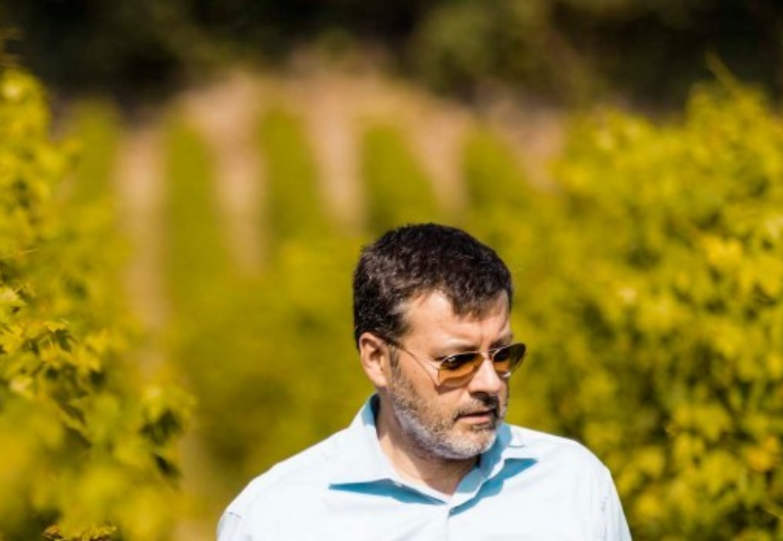 Raffaele Boscaini