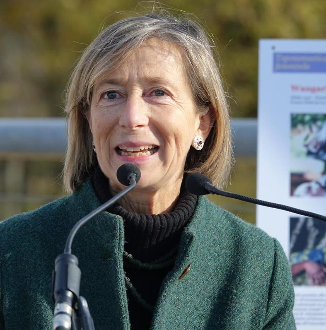 Padova, ridotti gli orari dell'anagrafe di Forcellini: Luciani critica, Benciolini spiega la situazione