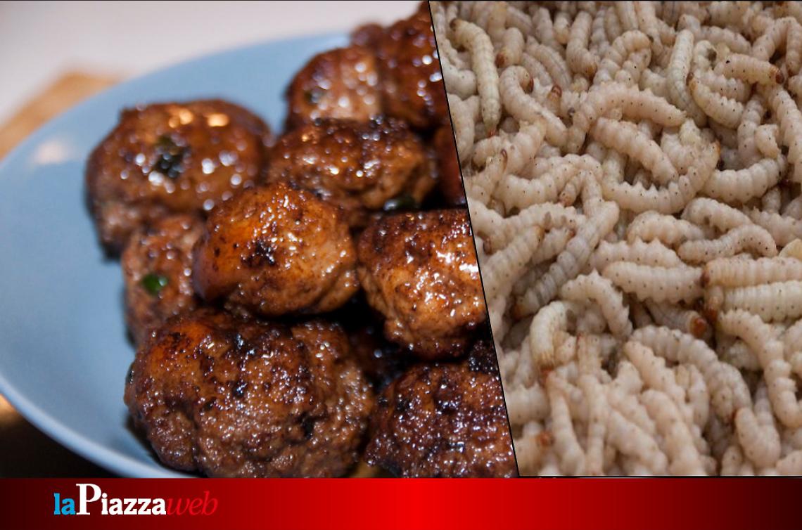 Roncade, cucine da incubo: dopo le larve nella pasta trovata polpette con la plastica