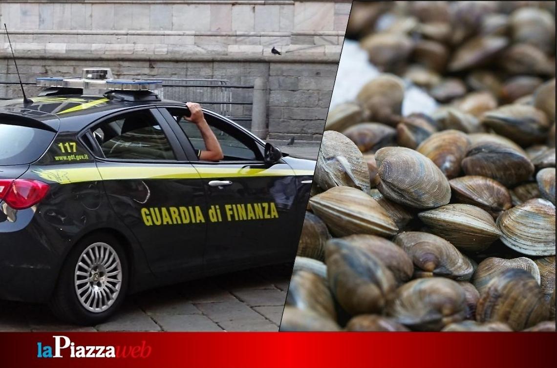 Venezia, sequestro di 470 kg di vongole veraci senza tracciabilità sanitaria