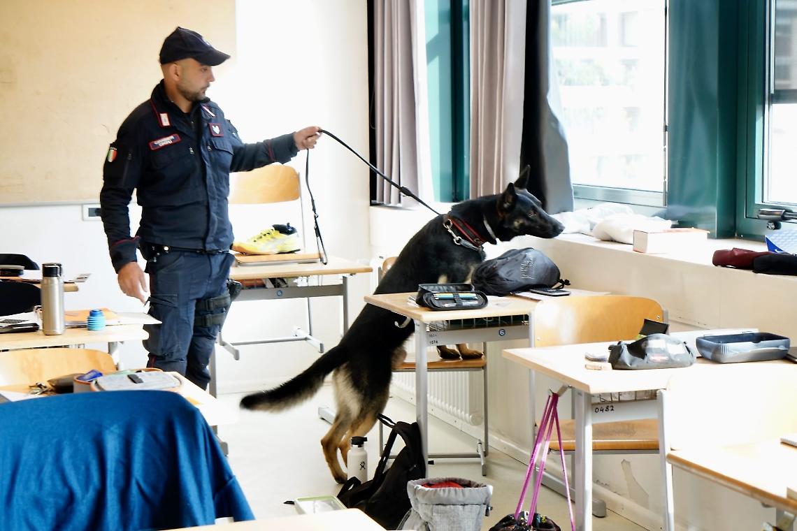 Controlli dei Carabinieri in provincia di Padova: sequestri e denunce 