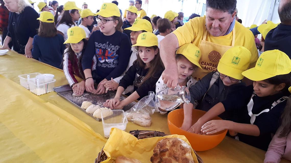 Coldiretti Padova: necessaria una rivoluzione salutista nelle mense scolastiche