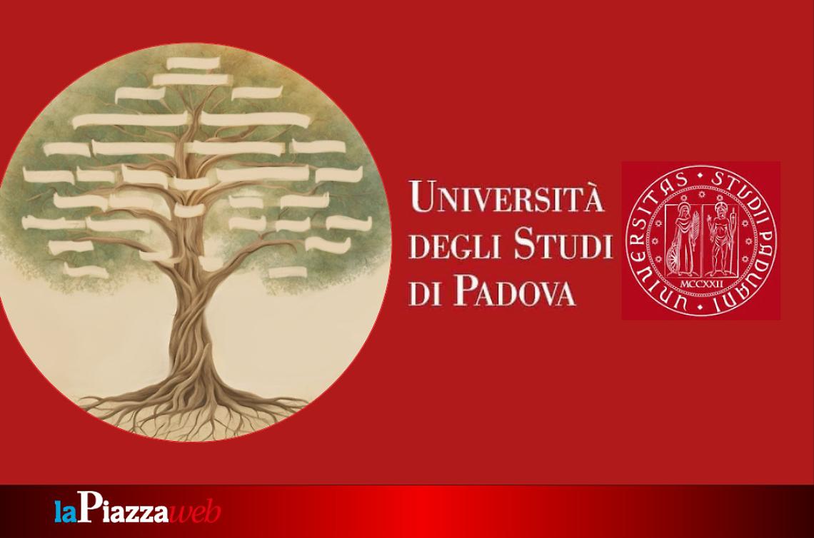 Cercando Radici