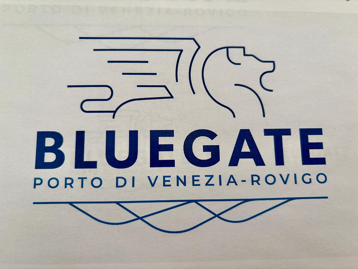 Il nuovo logo di Bluegate