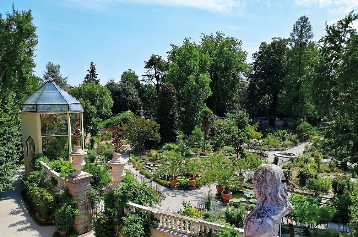 L'orto botanico di Padova