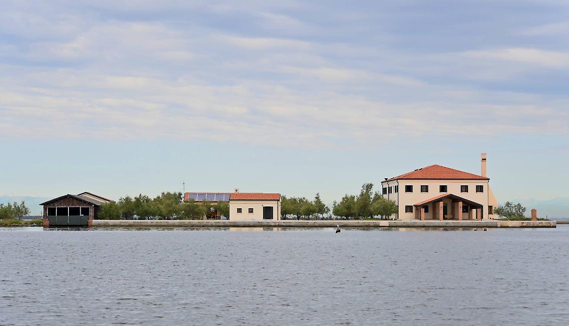 CODEVIGO casone millecampi