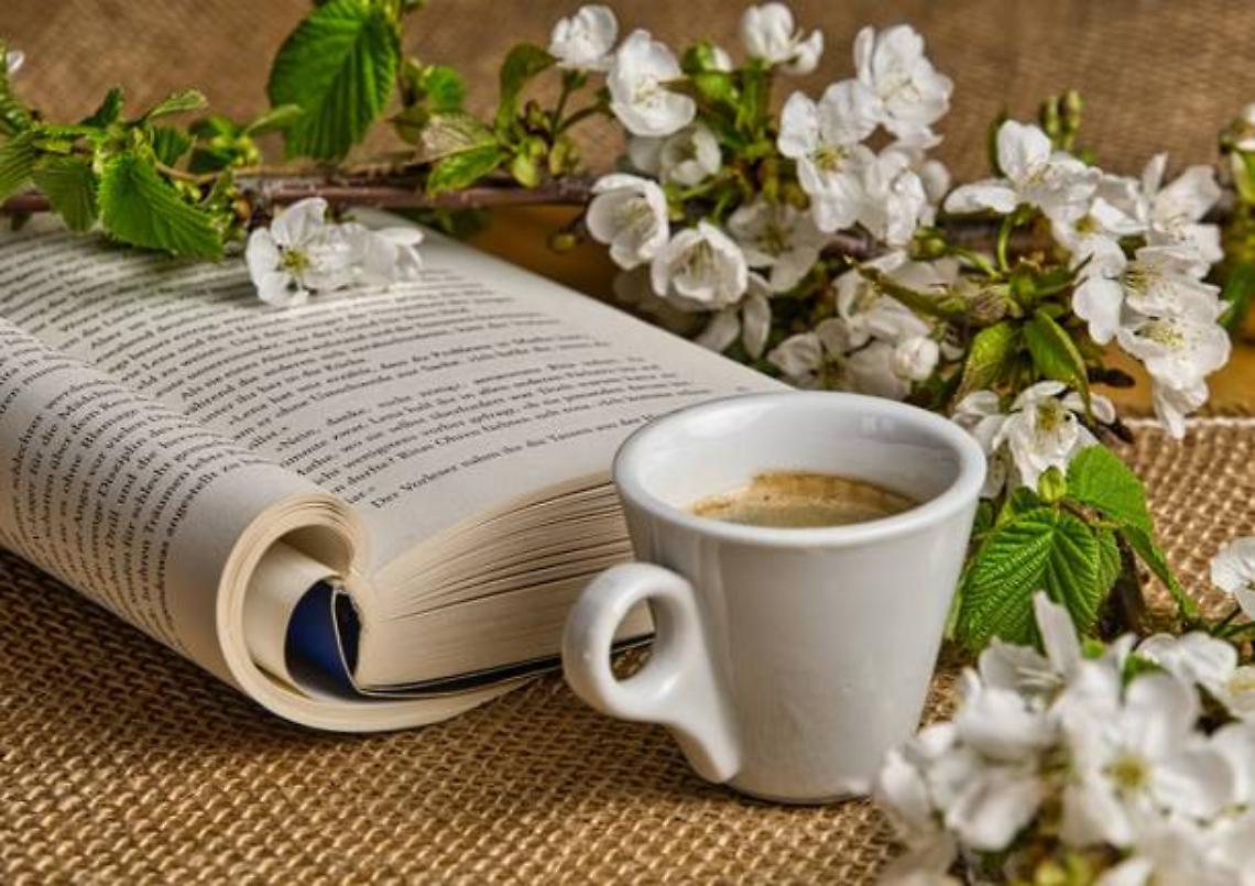 Presentazione di libri nell'aria 
