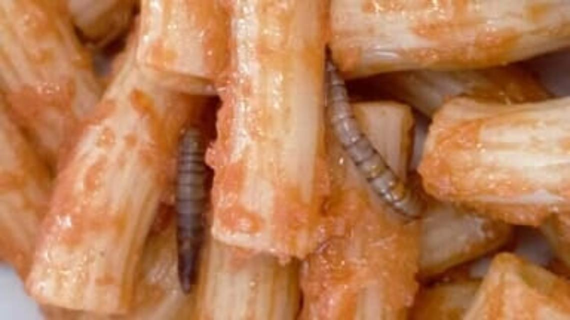 Roncade, larve nella pasta: la Dussman accusa di sabotaggio due operatrici 