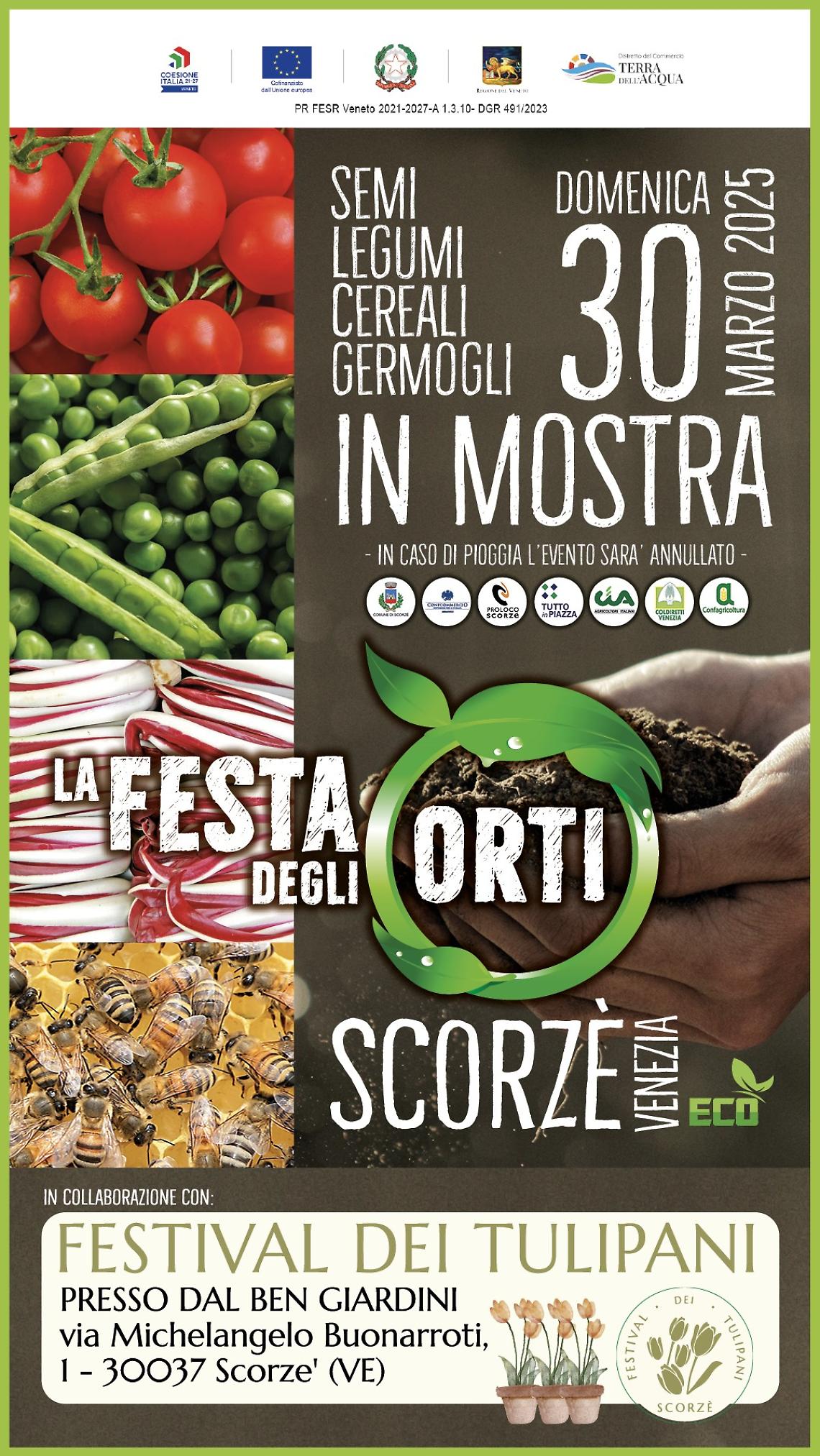 La Festa degli Orti a Scorzè: Un tuffo nella tradizione agricola locale