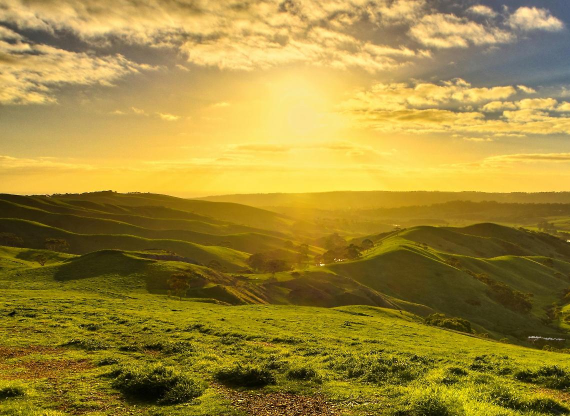 Alla scoperta delle colline di Soligo: un'escursione tra natura e panorami mozzafiato