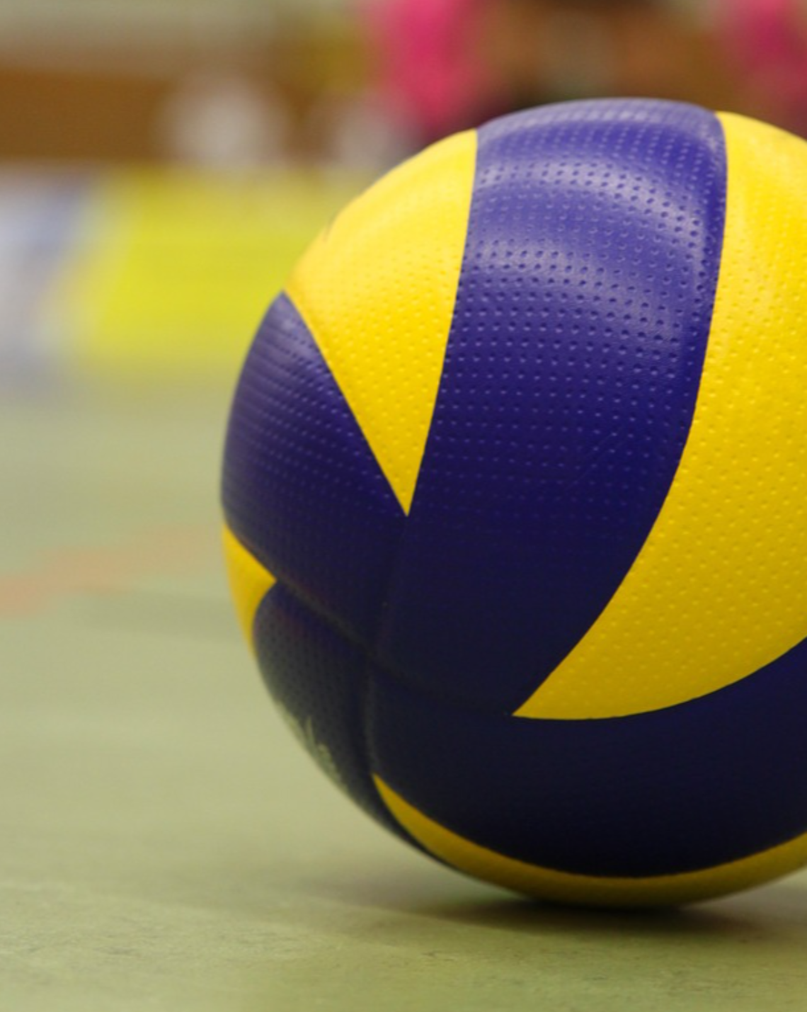 Le finali di Coppa Veneto 2025: trionfano il Volley Lions Clodia e l’Asolo Altivole Riese