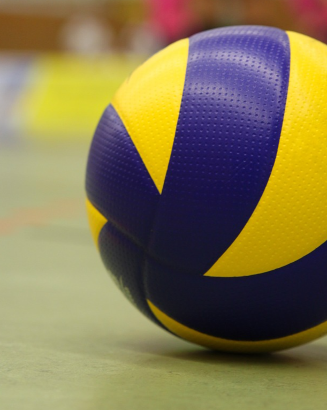 Le finali di Coppa Veneto 2025: trionfano il Volley Lions Clodia e l’Asolo Altivole Riese