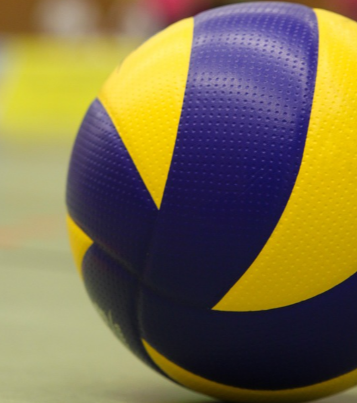 Le finali di Coppa Veneto 2025: trionfano il Volley Lions Clodia e l&rsquo;Asolo Altivole Riese