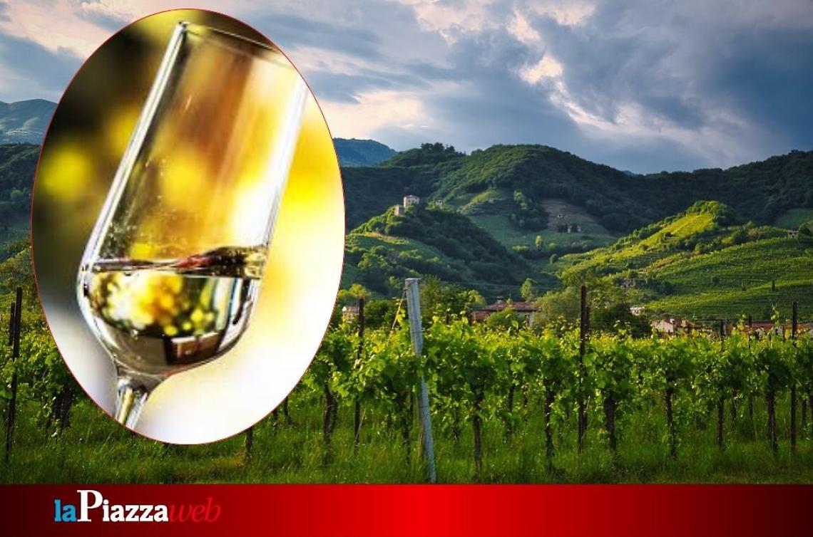 Un viaggio tra le colline del Prosecco tra storia e bollicine