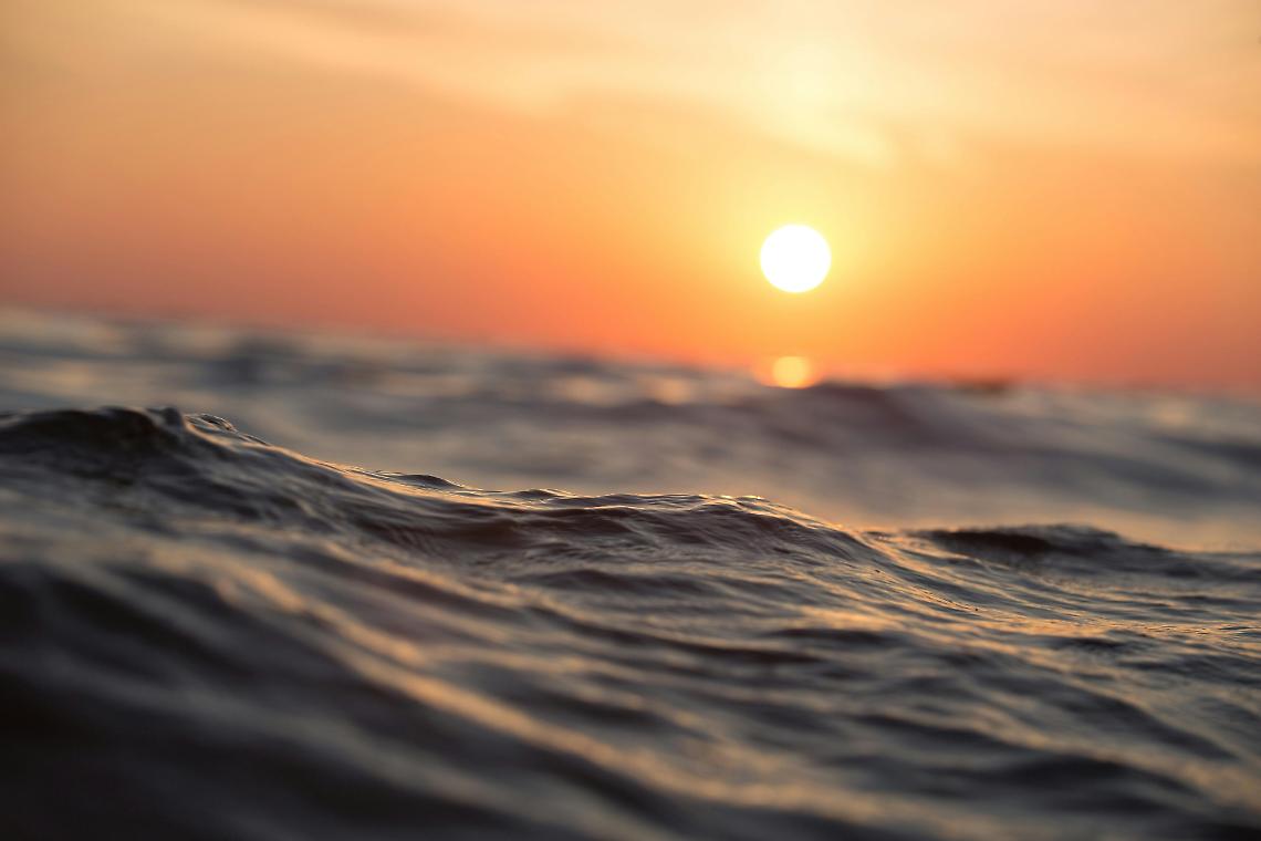  A Venezia nasce l’Ocean Literacy Centre: un polo di cultura sugli oceani
