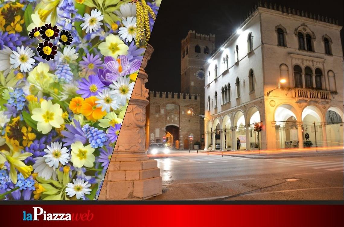 Noale in Fiore: il centro storico si trasforma in un giardino a cielo aperto