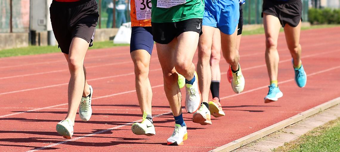 Sigilli al cantiere dello stadio Quercia di Rovereto per irregolarit&agrave; sulla sicurezza