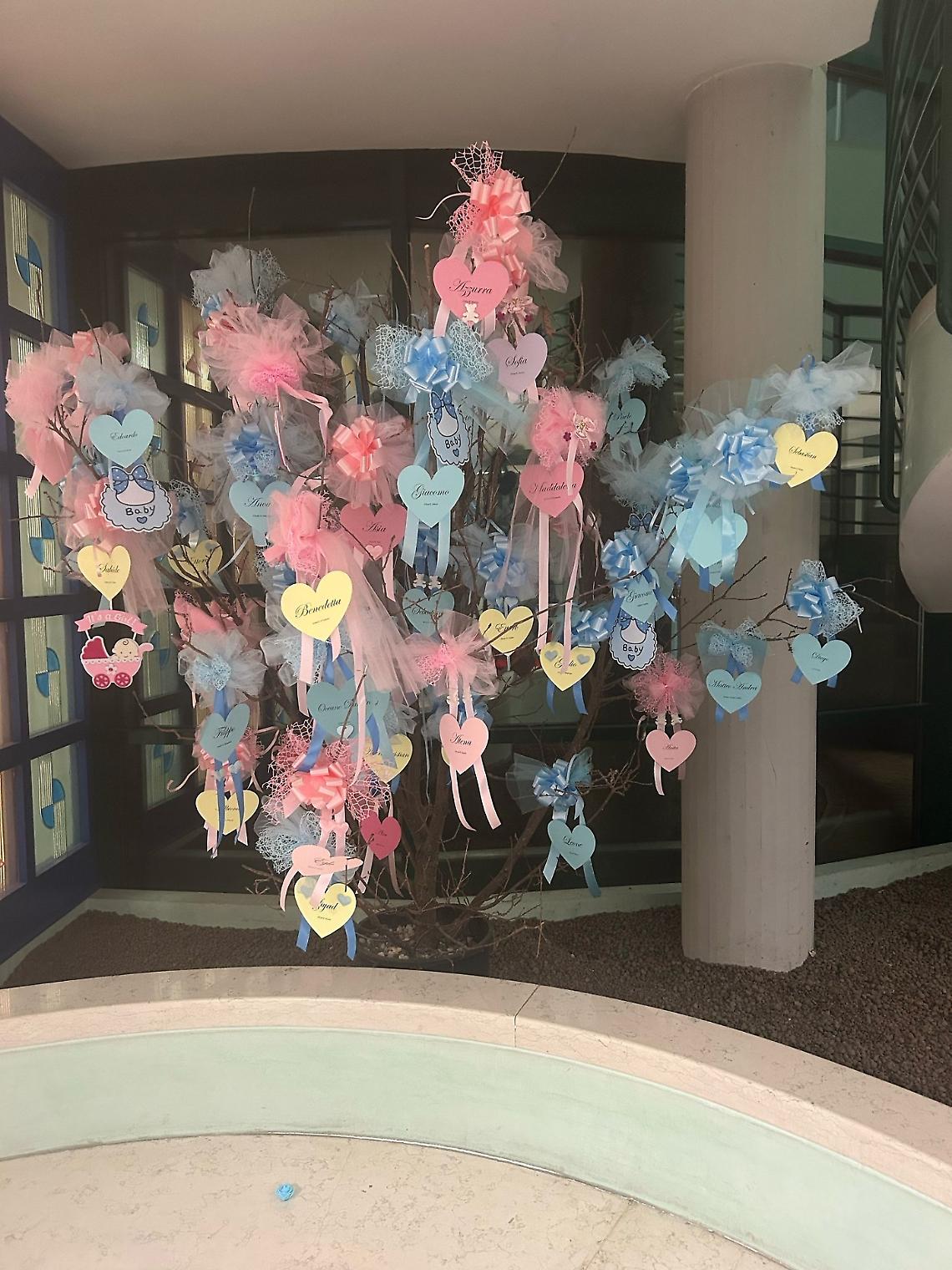 Albero nuovi nati nel Municipio 