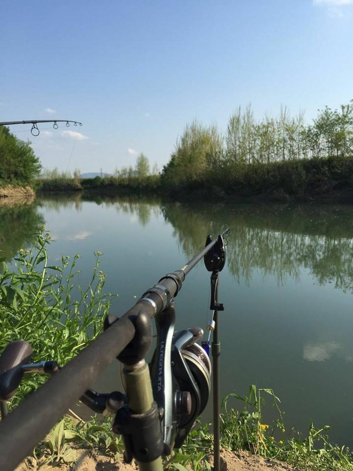 Padova, colpo di scena sul Bacchiglione: pescatore aggancia una bomba della Seconda Guerra Mondiale 