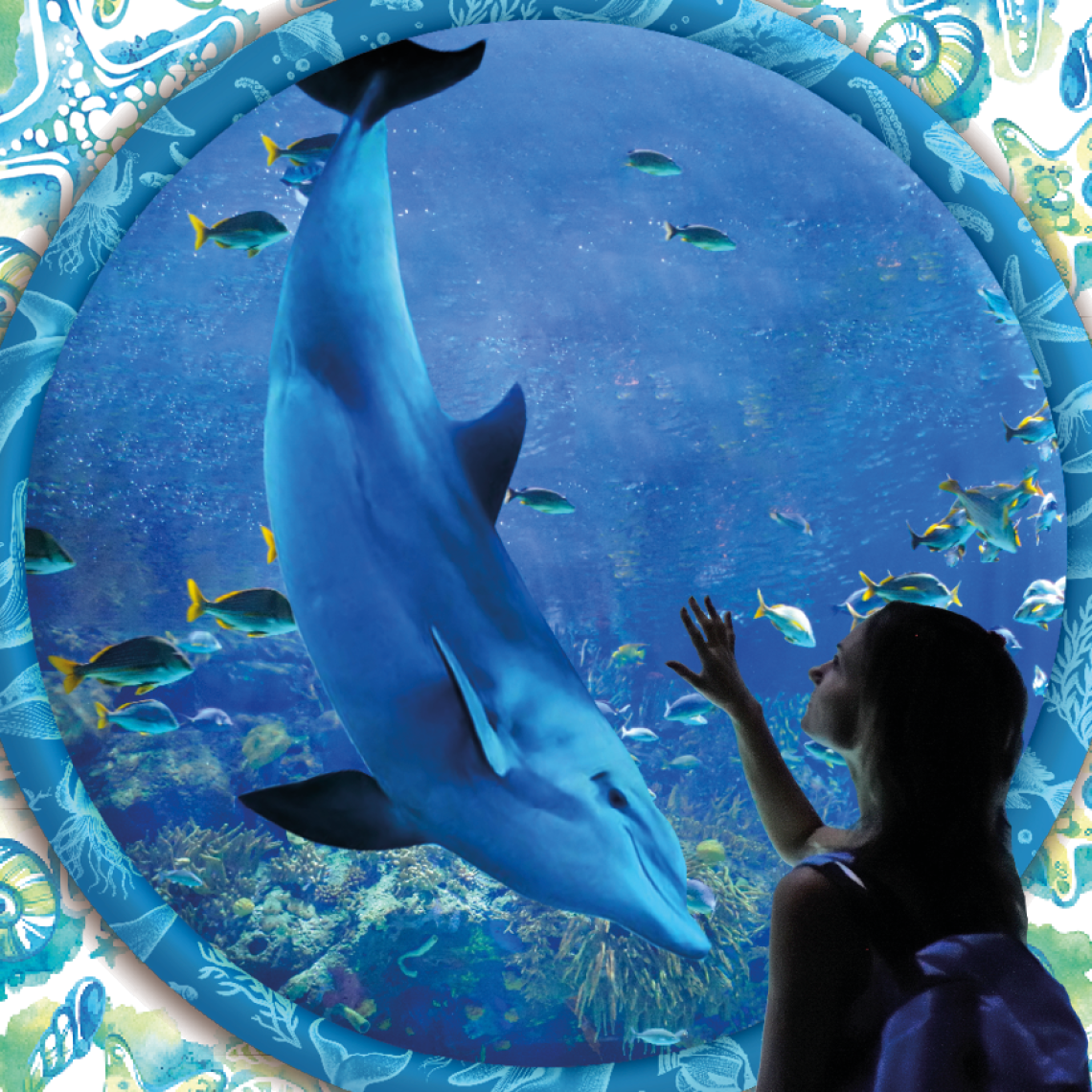 Esplora il Mondo Marino: Mostra 'Aquarium' alle Brentelle tra Edutainment e Sostenibilità