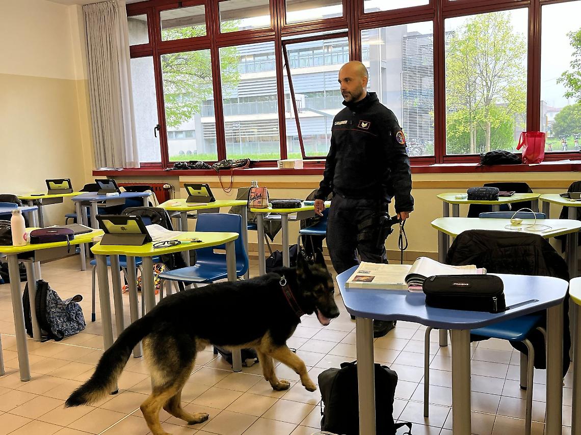 Foto dell'operazione di controllo