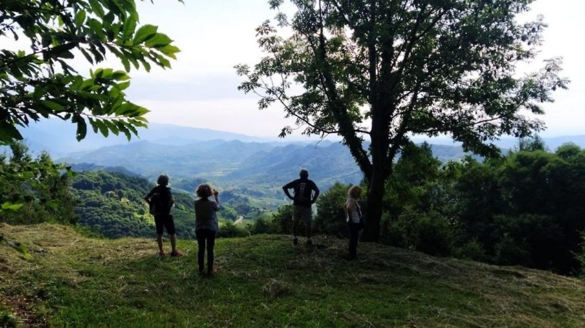 immagine di repertorio