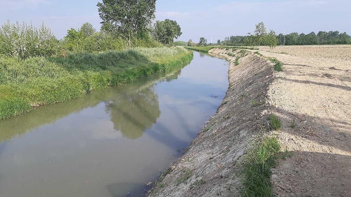 Camposampierese, 7 milioni di euro contro il dissesto idraulico: il grande cantiere del Consorzio Acque Risorgive