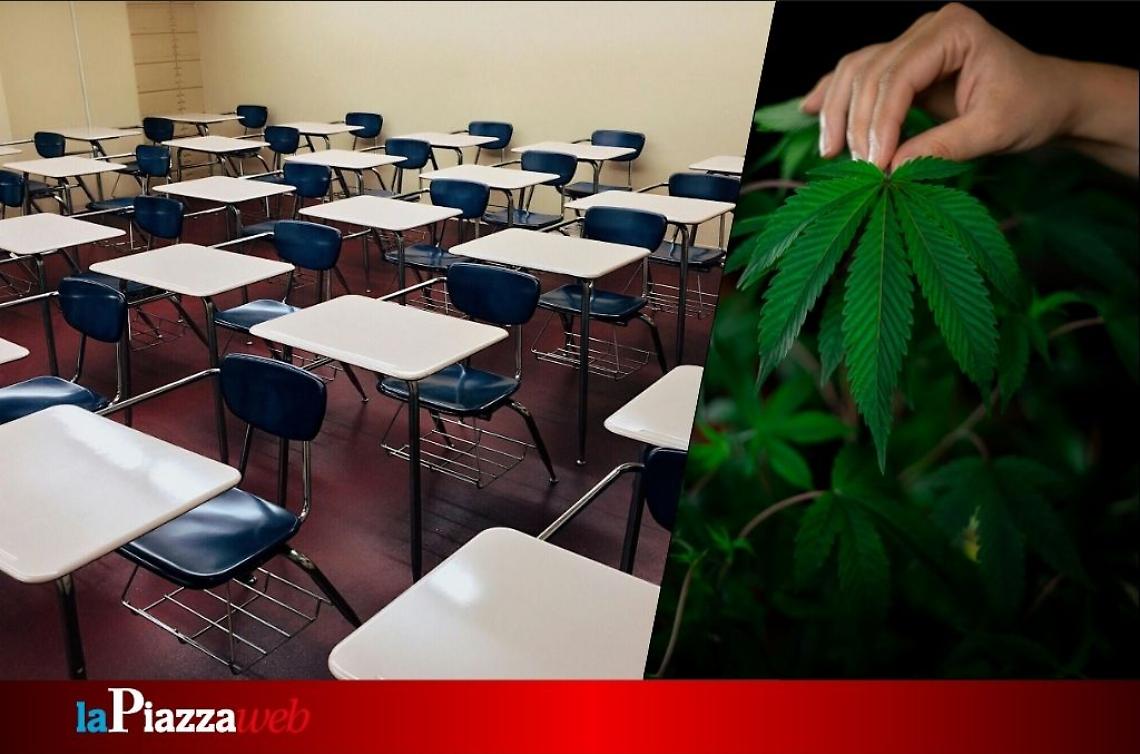  Maestra d’asilo e pusher: shock a Campodarsego per una doppia vita nascosta
