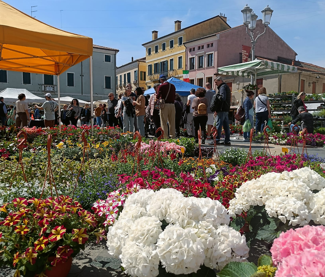 Adria in Fiore
