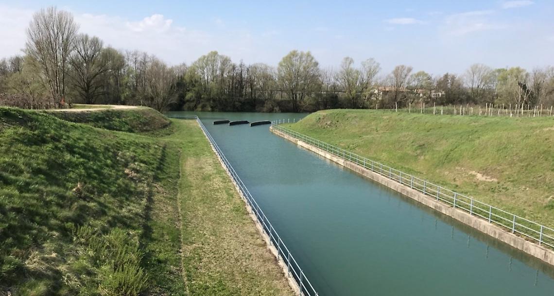 Foto del Canale LEB