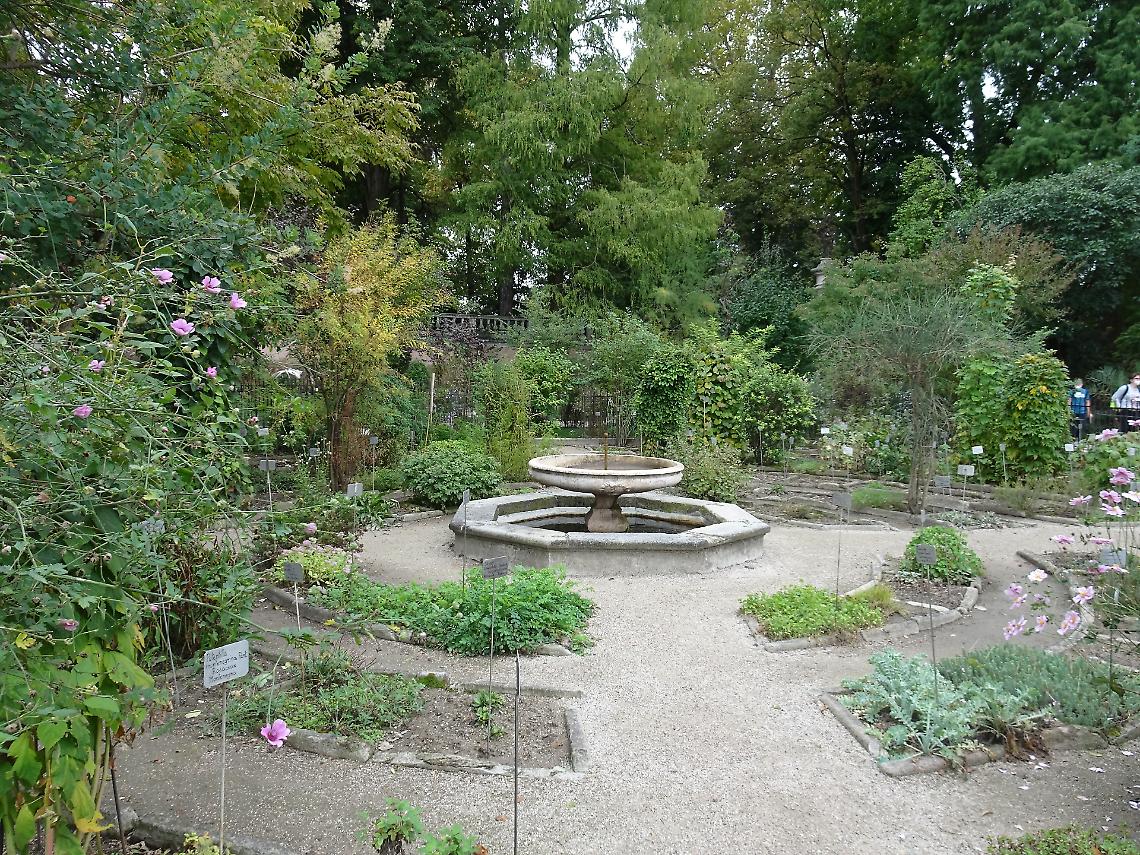 Scoprire l’Orto Botanico di Padova: visita guidata tra storia, biodiversità e natura