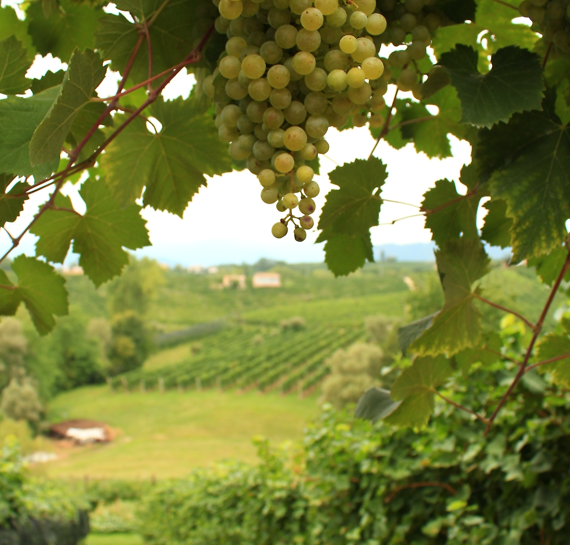 Primavera del Conegliano Valdobbiadene Prosecco: un weekend di festa
