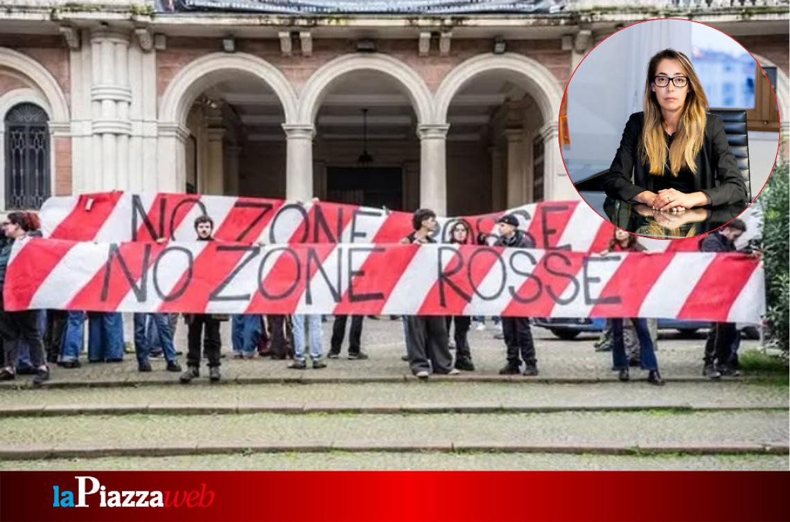 Vanessa Camani, Partito Democratico
