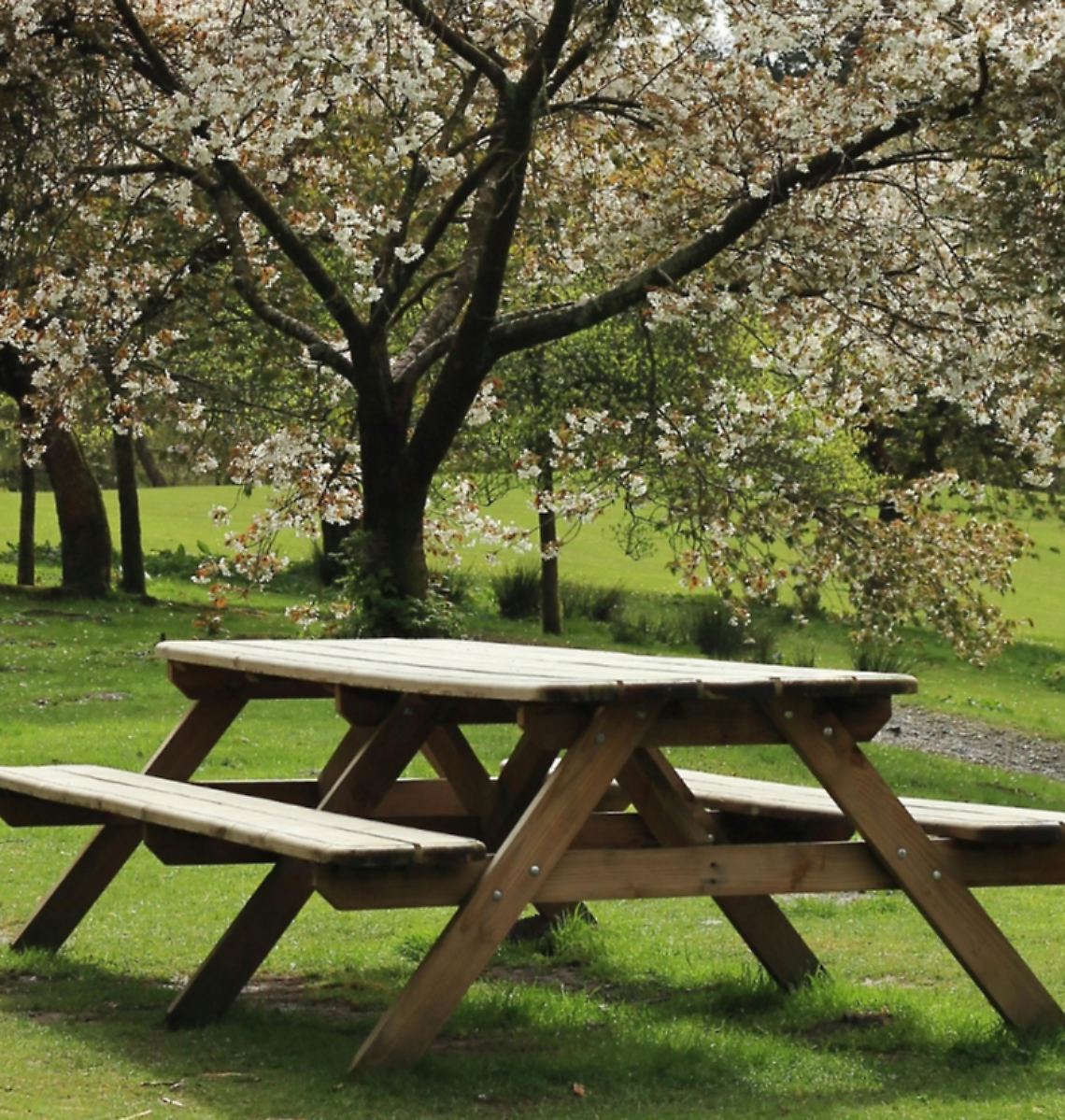 Natura, gusto e panorami: il 15 giugno torna il “Pic-nic in Casera” a Farra di Soligo