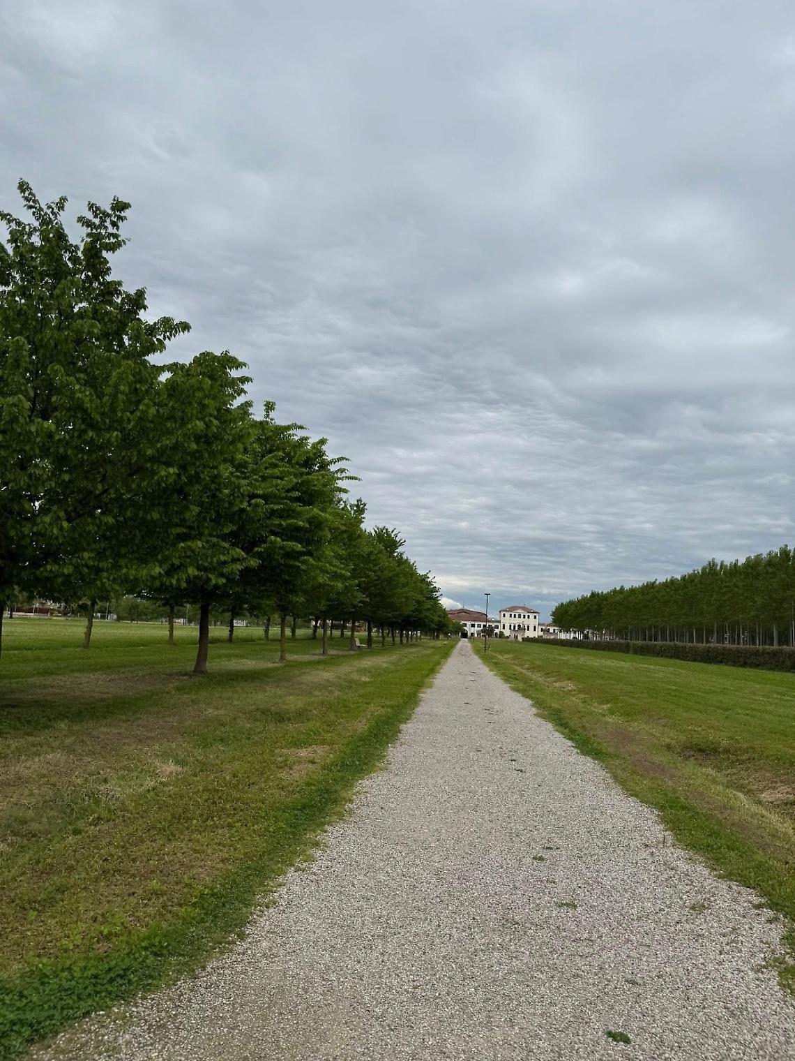parco di Villa Baglioni