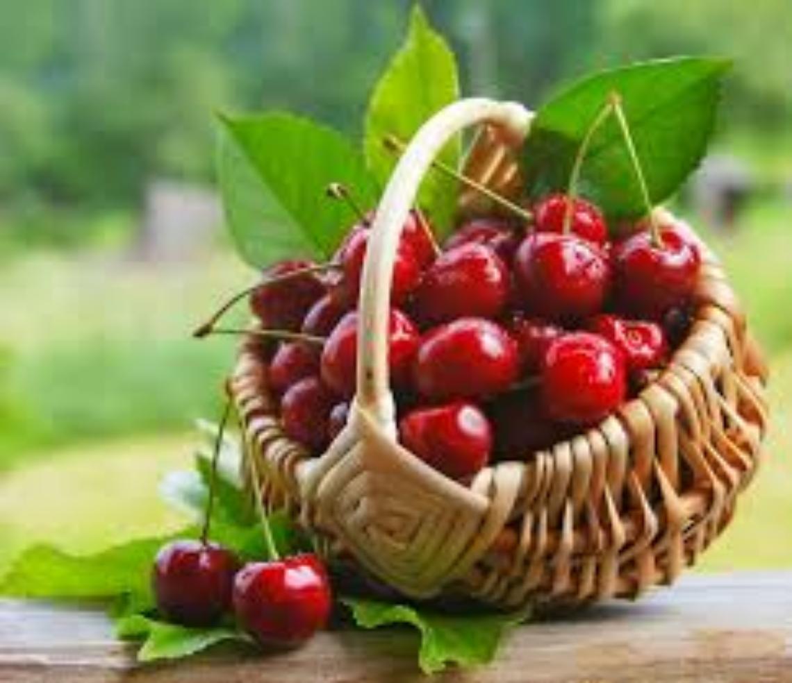 Ciliegie di Verona, tra gusto e salute: sette ricette per valorizzarle al meglio