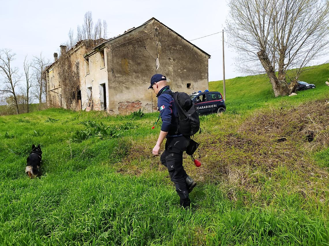 Padova, reflui zootecnici nei canali tra Terrassa e Candiana: indagini in corso, convalidato il sequestro