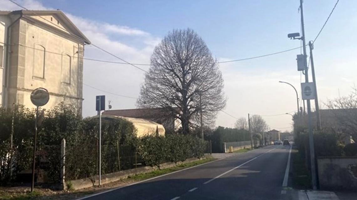 Autovelox rimosso a Fontaniva
