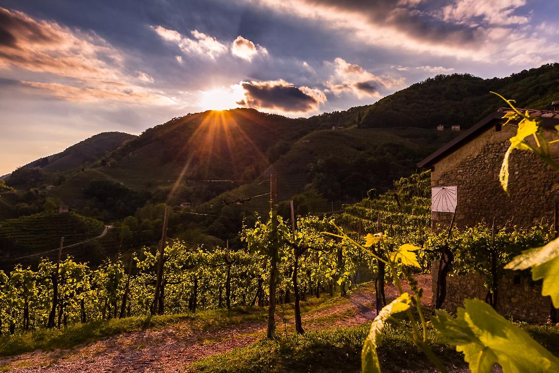 La Primavera del Conegliano Valdobbiadene Prosecco DOCG: ecco gli ultimi appuntamenti 