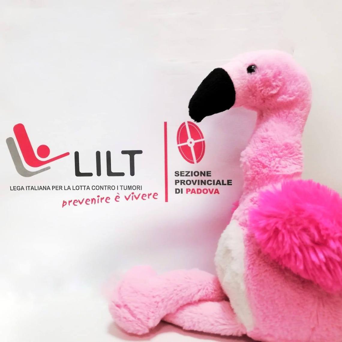 Lilt Padova, 50 anni per la prevenzione: un futuro da costruire insieme