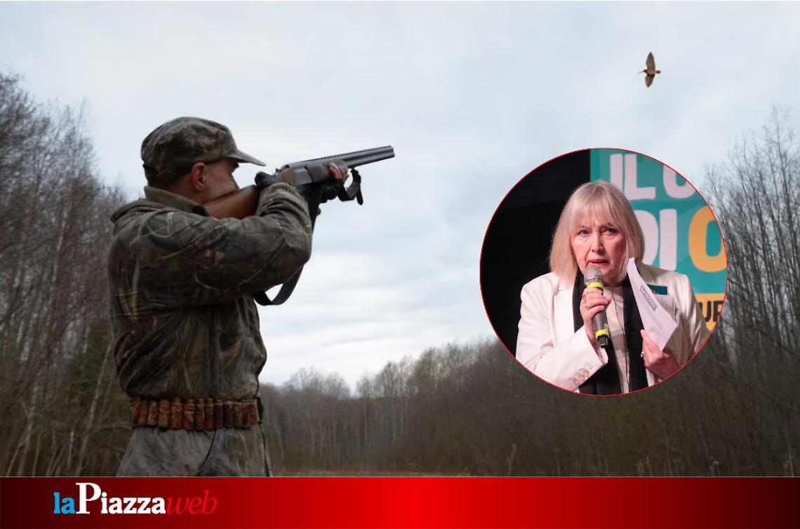 Luana Zanella, Capogruppo di AVS
