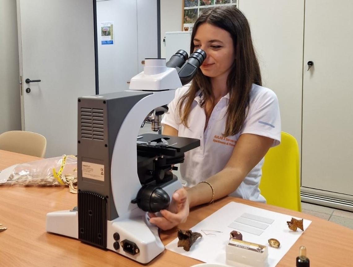 Sicurezza alimentare: 2.600 ispezioni in 18 mesi, stretta dell’Ulss 3 sui rischi per la salute