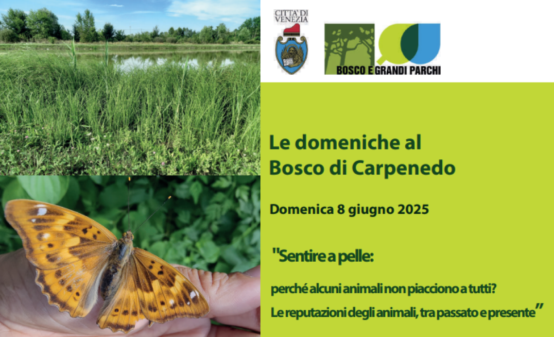 Locandina dell'evento