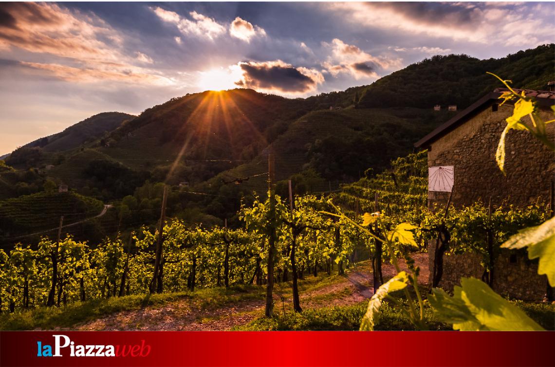 Le colline del Prosecco