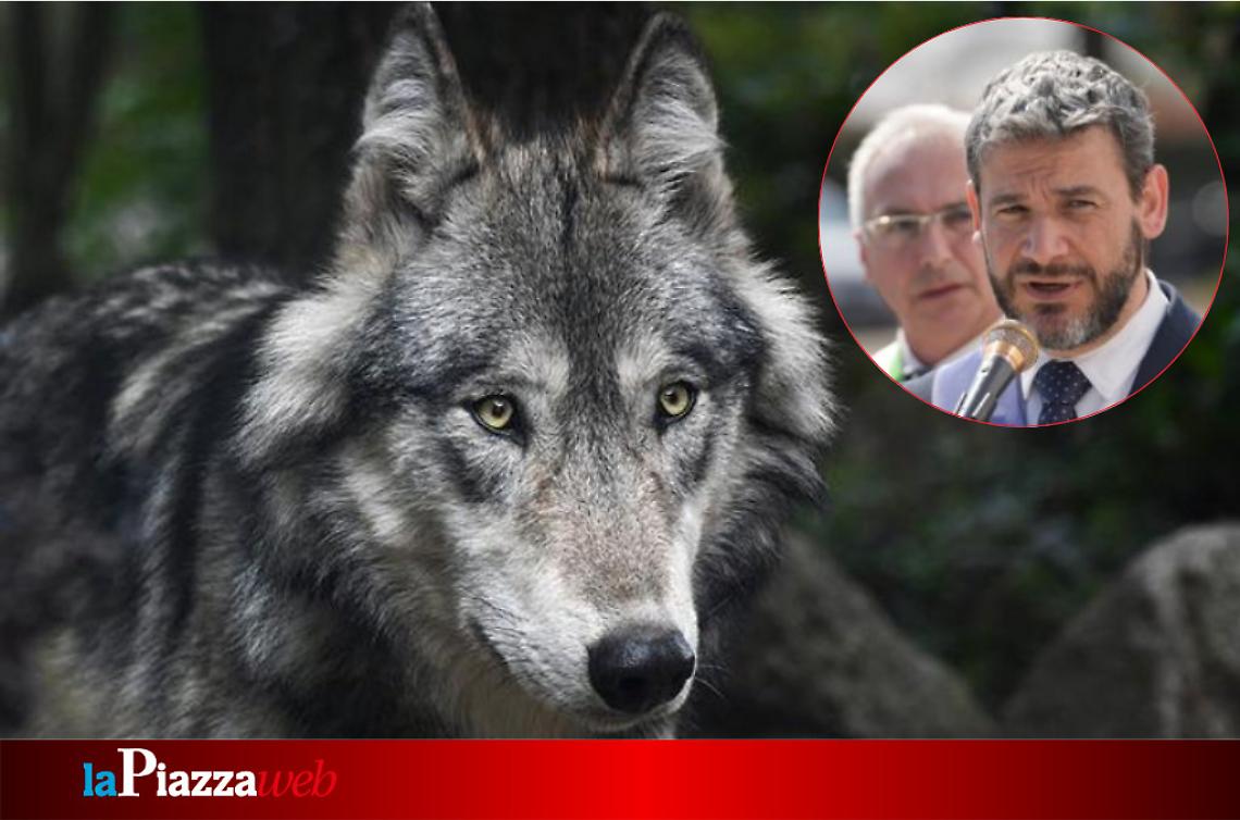 Il presidente della provincia Andrea Nardin