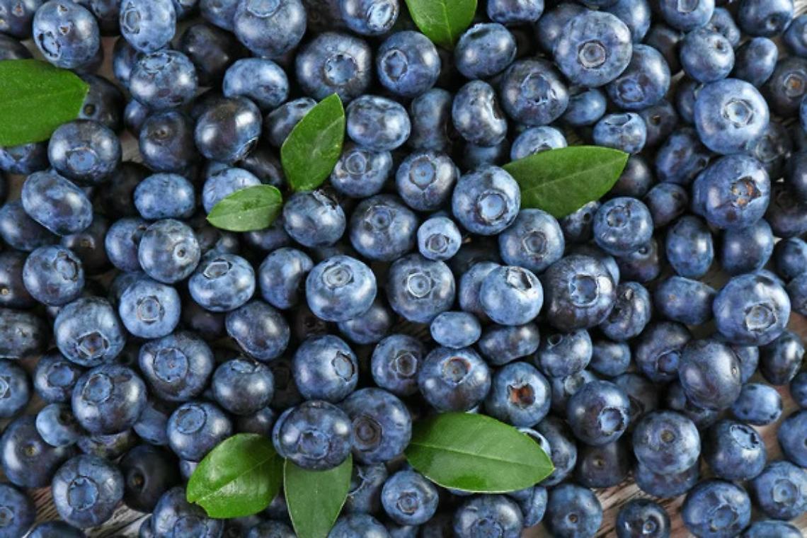 Mangiare mirtilli ogni giorno: cosa accade davvero al tuo corpo