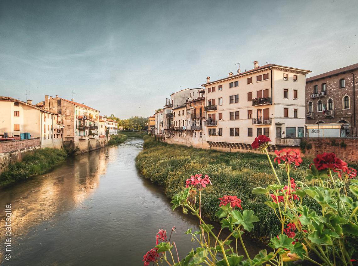 Vicenza, i gerani tornano a colorare Ponte degli Angeli