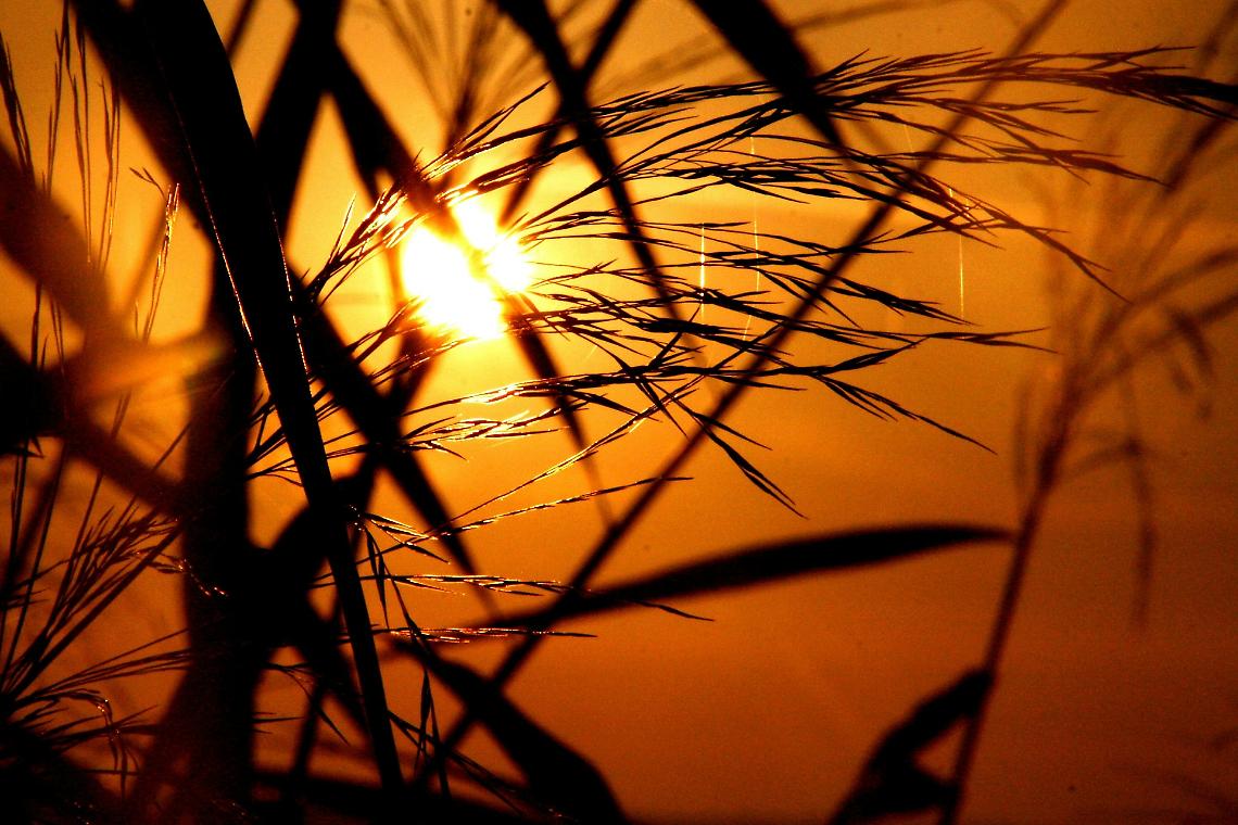 Estate e pressione bassa: Federfarma Verona lancia l’allarme caldo e offre consigli utili alla popolazione