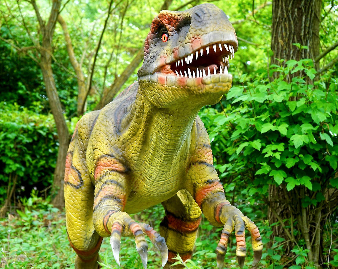 Dinosauri all’alba delle Tre Cime: scienza e fascino preistorico tornano protagonisti in Cadore