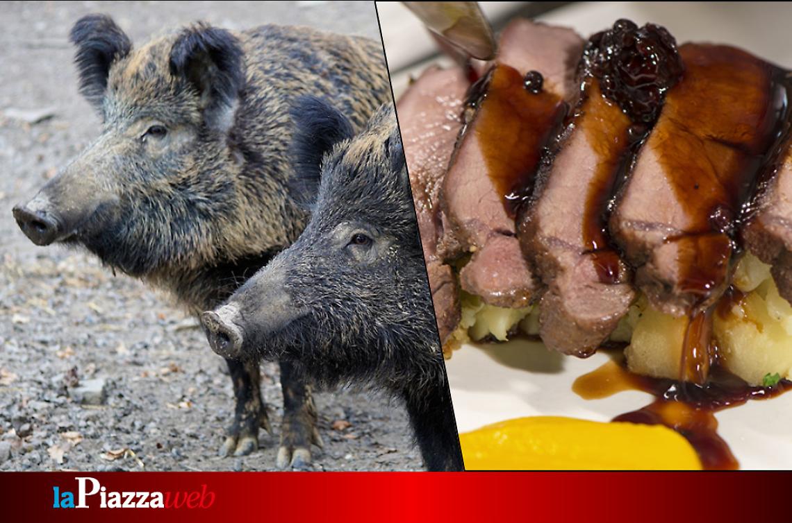 Cinghiale arrosto